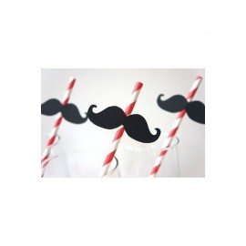Lote 25 Cañas de papel + Mostachos Photocall