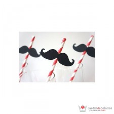 Lote 25 Cañas de papel + Mostachos Photocall