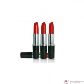 Memoria USB Pintalabios 512 MB